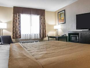 Quality Inn Grand Rapids South-Byron Center Cutlerville الغرفة الصورة
